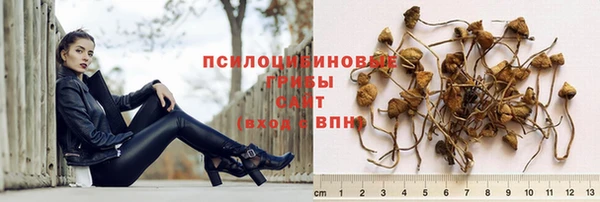 PSILOCYBIN Надым