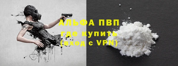 PSILOCYBIN Надым