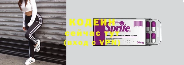 индика Навашино