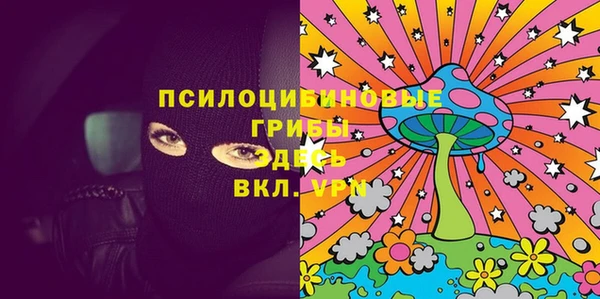 индика Навашино