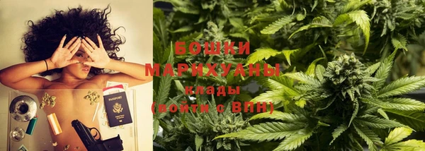 индика Навашино