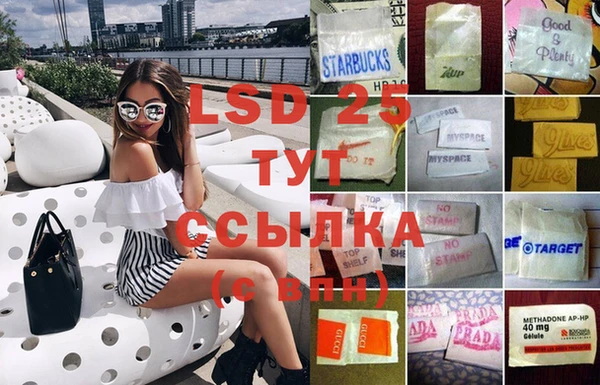 PSILOCYBIN Надым