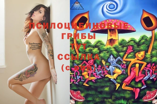PSILOCYBIN Надым